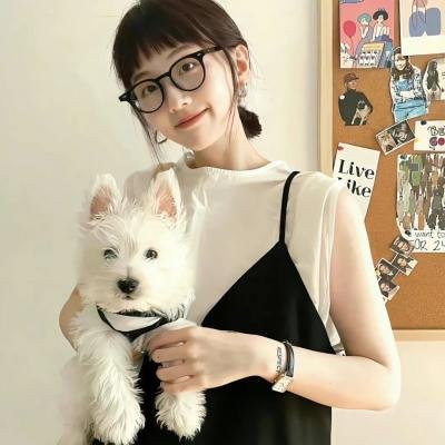 我爸爸是赏金猎人 推荐封面